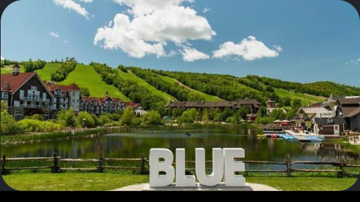 Fresh bagels delivered to homes and cottages in The Blue Mountains by Rise & Bagel